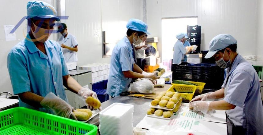 Đặc điểm của doanh nghiệp nhỏ
