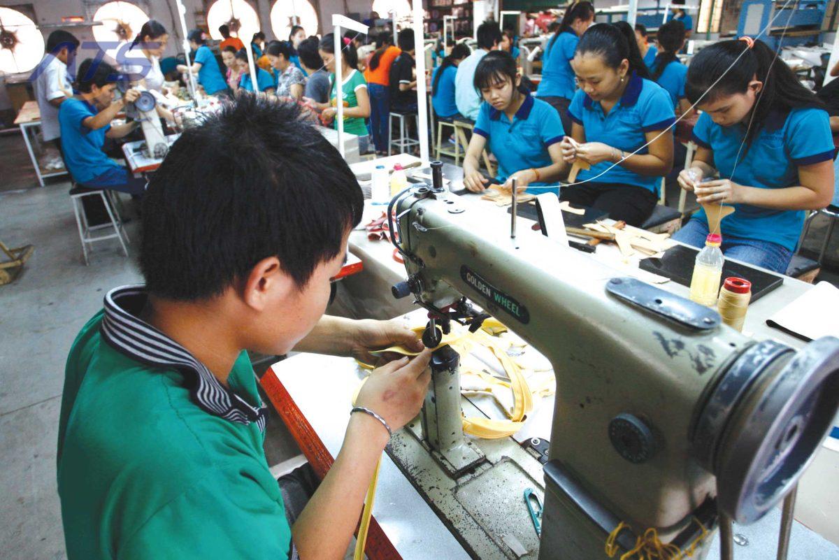 Vai trò của doanh nghiệp nhỏ