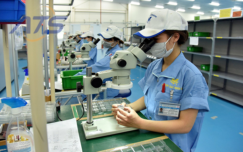 Các nội dung chính trong báo cáo