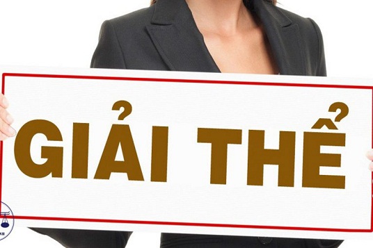 dich-vu-giai-the-dong-ma-so-thue-cho-doanh-nghiep-o-che-do-03-06-1